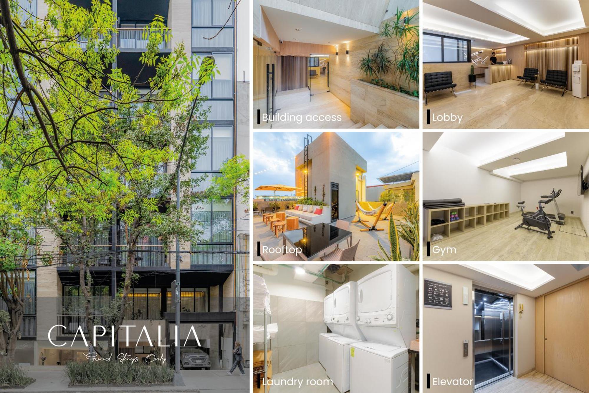 Capitalia - Luxury Apartments - Homero Μεξικό Εξωτερικό φωτογραφία